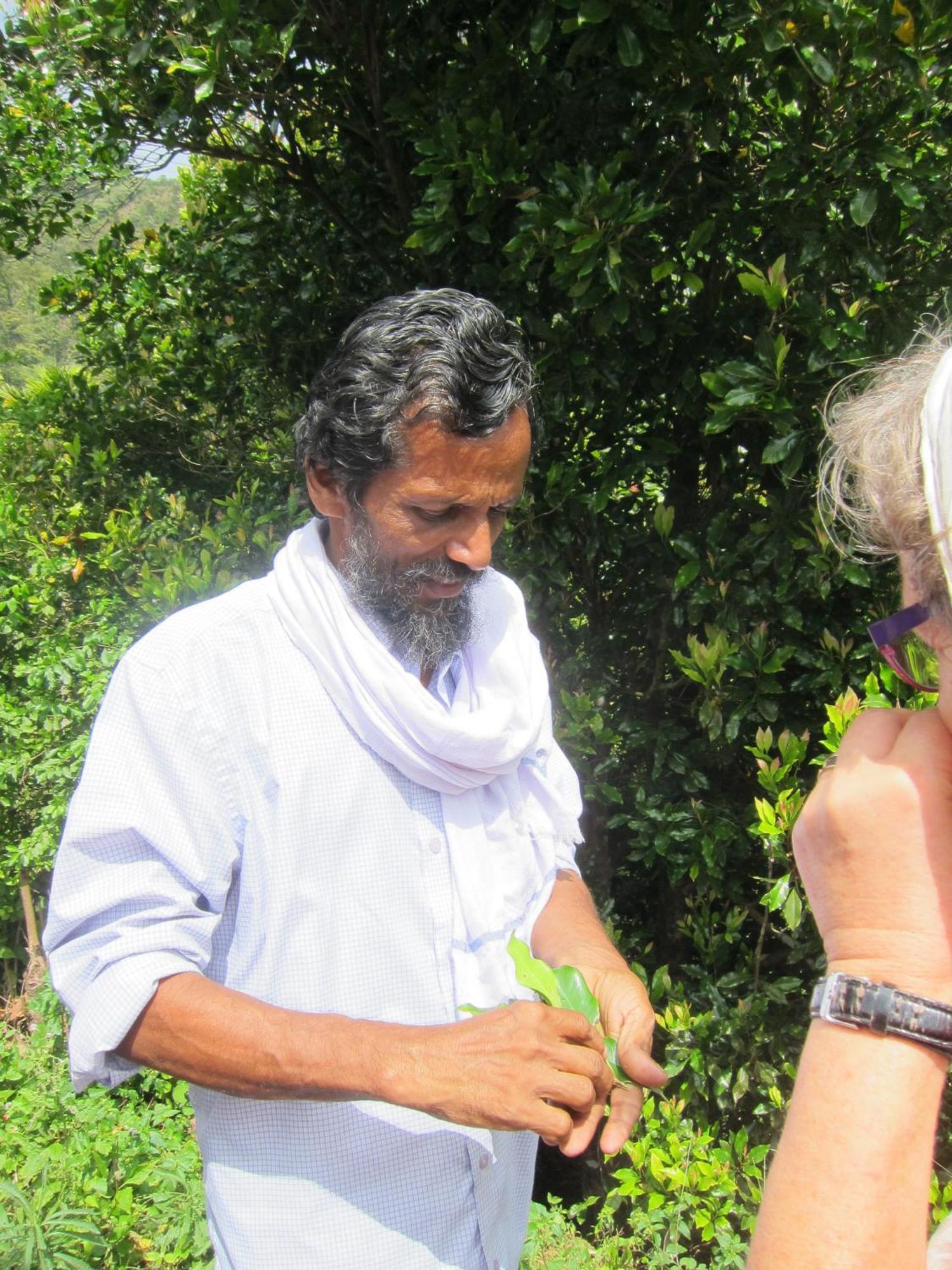 The Eco Hotel Varkala Luaran gambar